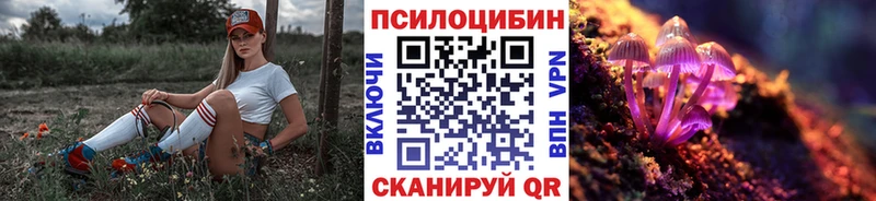 купить наркоту  Зея  Псилоцибиновые грибы мухоморы 